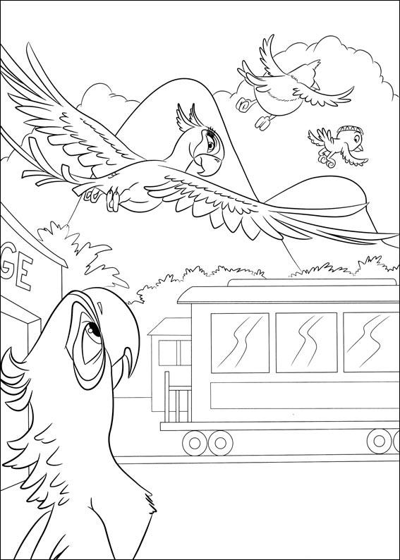 coloriage rio blu regarde perla voler